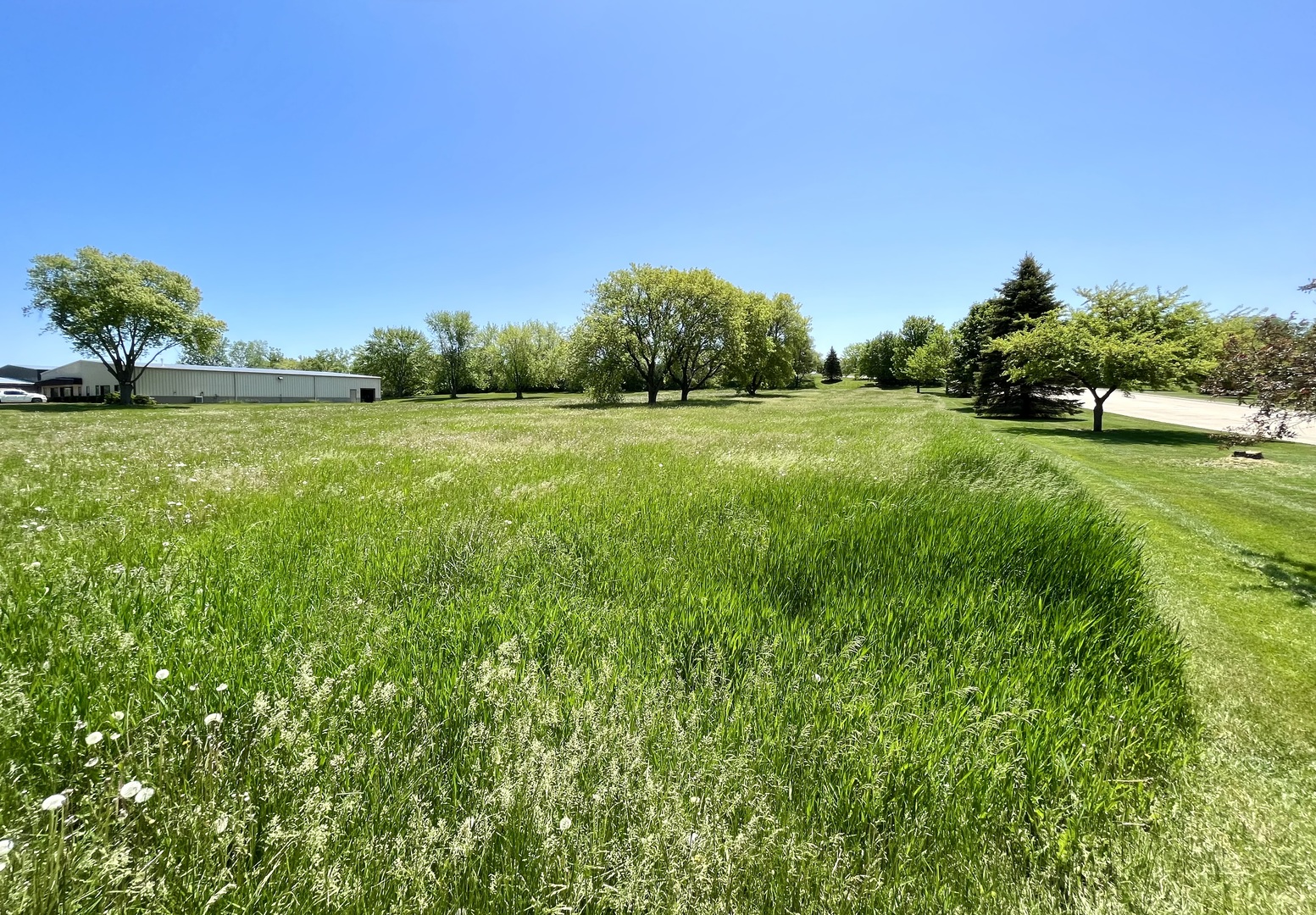 3013 Highway 12 Spring Grove, IL 60081 - Photo 7 of 7