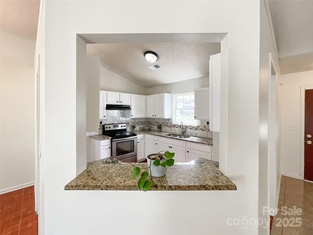 a kitchen with a stove a sink and a refrigerator