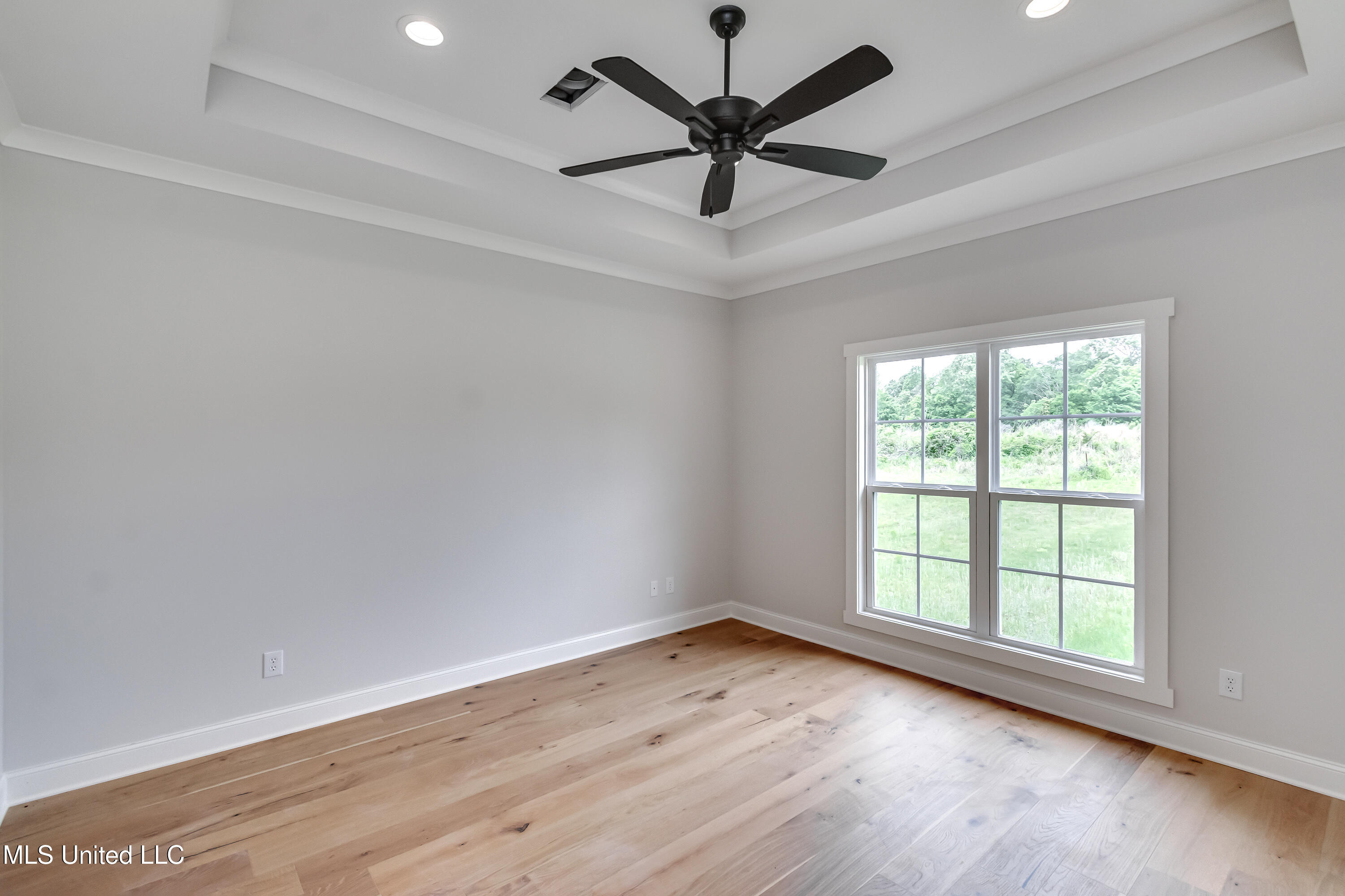 124 Grayson Way Madison, MS 39110 - Photo 31 of 49 Tray Ceilings