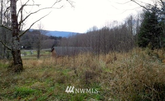 143 Short Road Morton, WA 98356 - Photo 1 of 2 Gallery Image 1