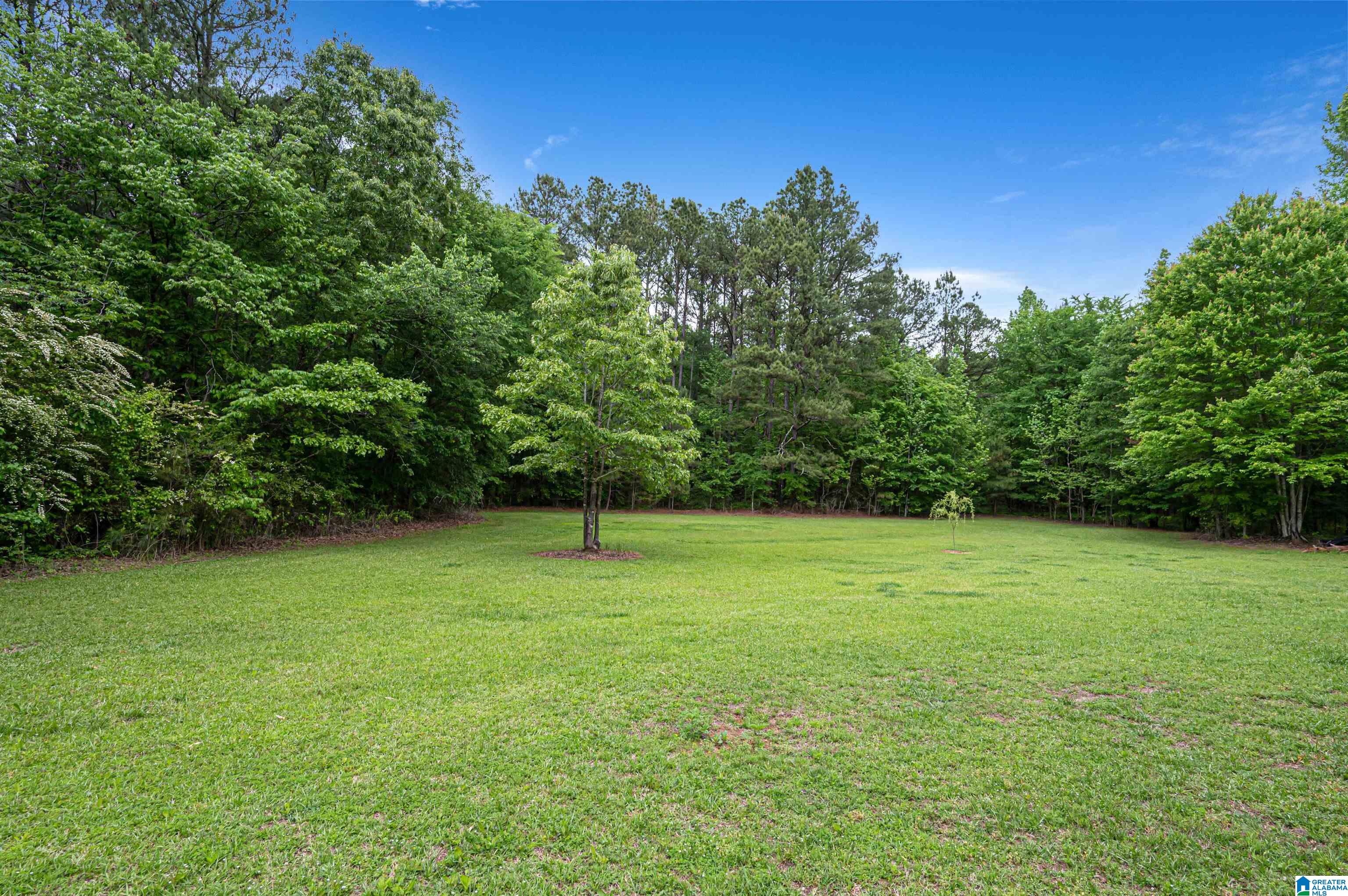 2469 Slasham Road Ashville, AL 35953 - Photo 41 of 42
