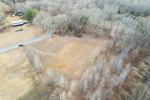 a view of a dry yard with a tree