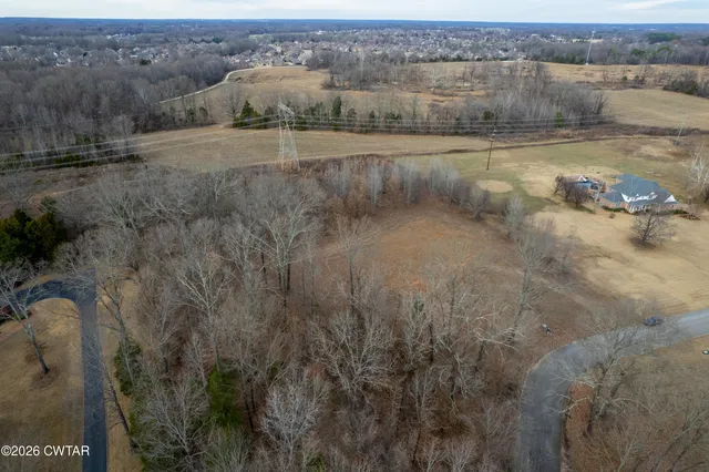 a view of a dry yard with trees