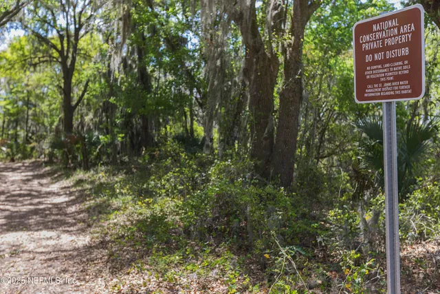 a view of a forest filled with trees