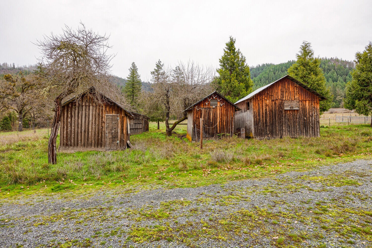 6901 Thompson Creek Road Jacksonville, OR 97530 - Photo 59 of 88 6901 Thompson Crk