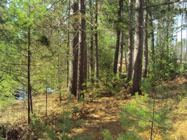 On Falcon Ridge, Unit LOT 3 Minocqua, WI 54548 - Photo 5 of 10 Gallery Image 5