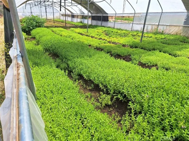 a view of a garden with a flower garden