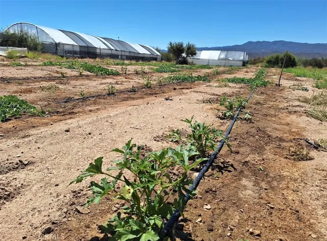 a view of a dry yard with wooden fence