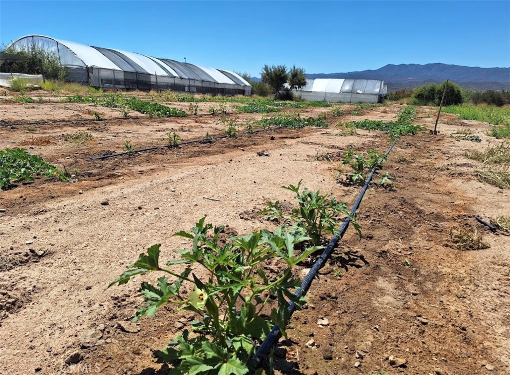 41790 Jay Dee Lane Anza, CA 92539 - Photo 7 of 22 a view of a dry yard with wooden fence
