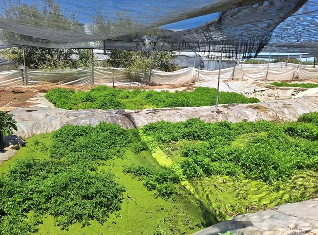 a view of a backyard of a house