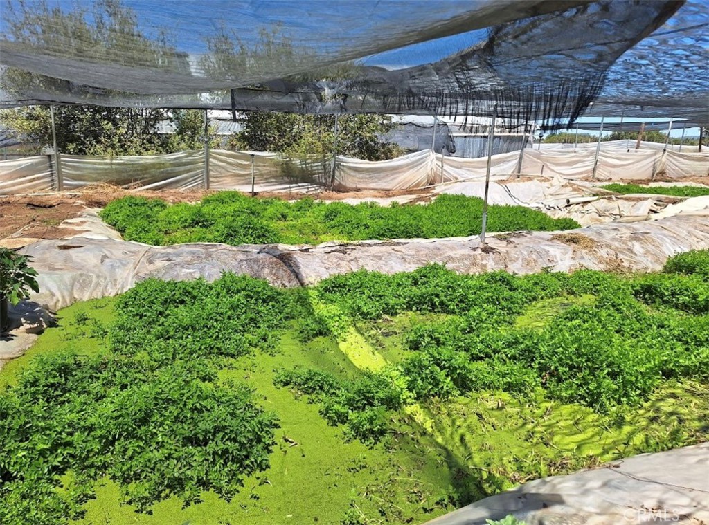 41790 Jay Dee Lane Anza, CA 92539 - Photo 8 of 22 a view of a backyard of a house