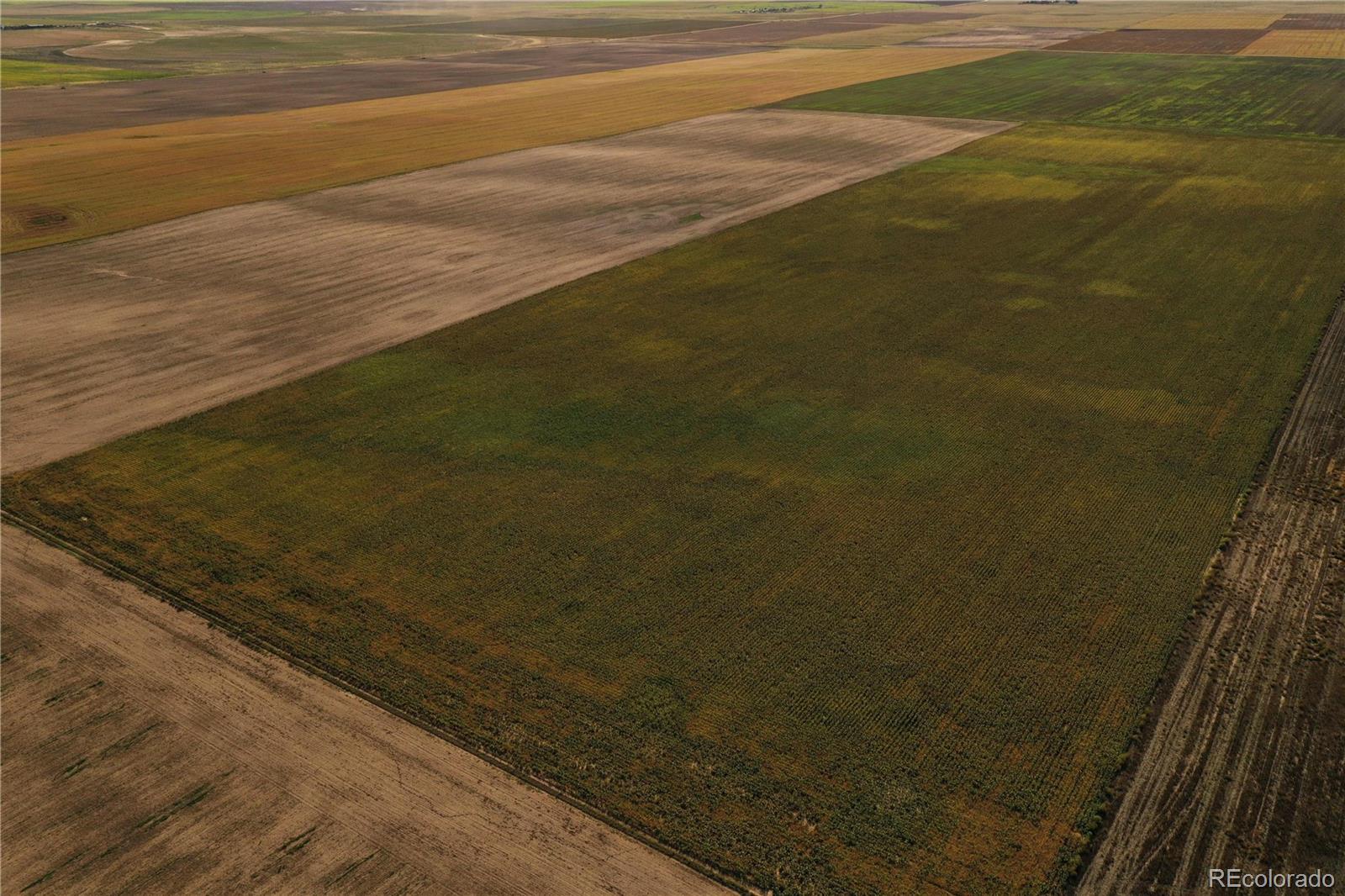 21 County Road Vona, CO 80861 - Photo 5 of 6