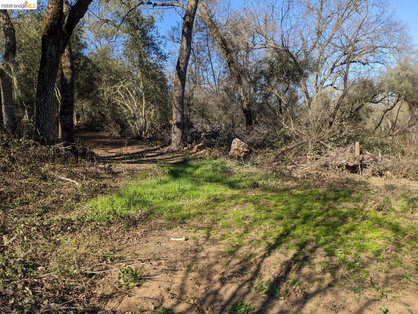 4095 Green Valley Road Rescue, CA 95672 - Photo 13 of 31 a view of a fire pit with large trees