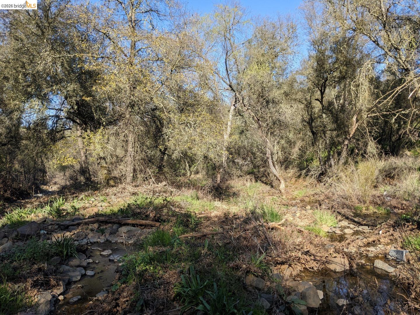 4095 Green Valley Road Rescue, CA 95672 - Photo 21 of 31 a view of a yard with a tree