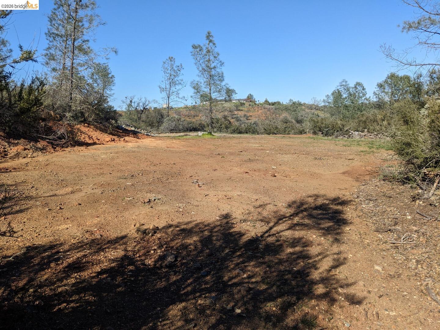 4095 Green Valley Road Rescue, CA 95672 - Photo 25 of 31 a view of a yard with trees