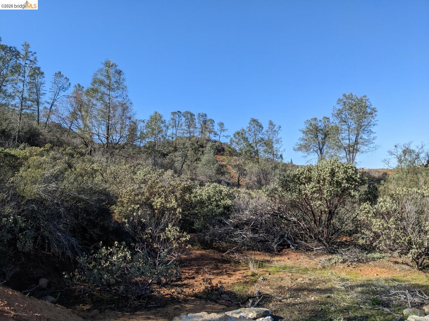 4095 Green Valley Road Rescue, CA 95672 - Photo 27 of 31 a view of a covered with trees in the background