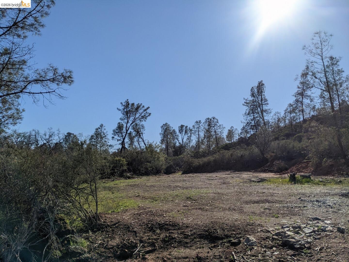 4095 Green Valley Road Rescue, CA 95672 - Photo 29 of 31 a view of a dry yard with trees