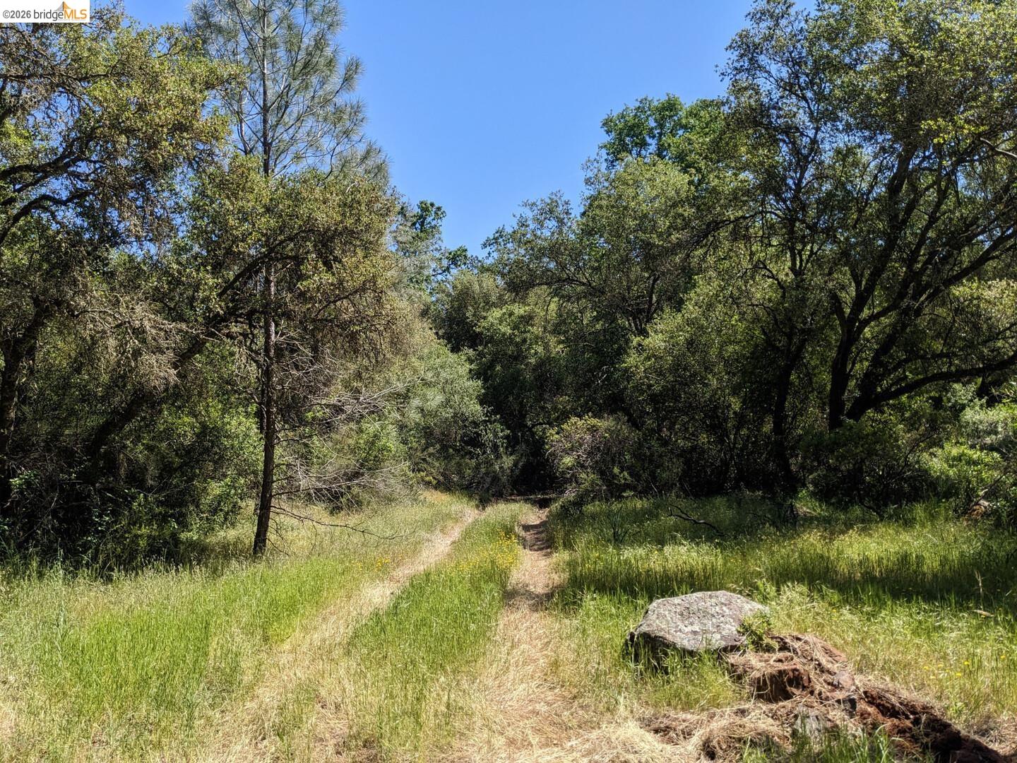 4095 Green Valley Road Rescue, CA 95672 - Photo 4 of 31 a view of a lake with a yard