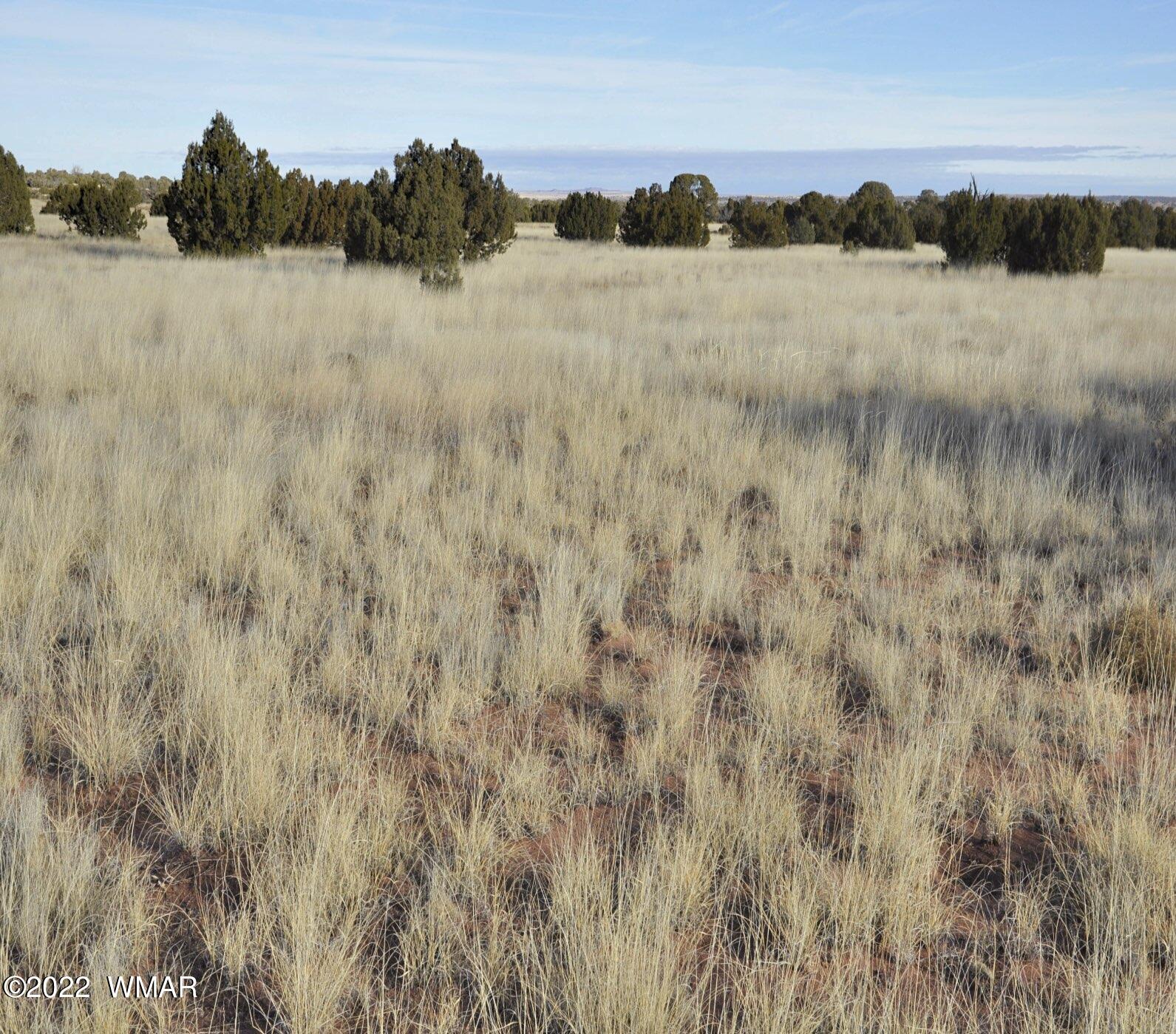 230 County Road Concho, AZ 85924 - Photo 21 of 22 Gallery Image 21