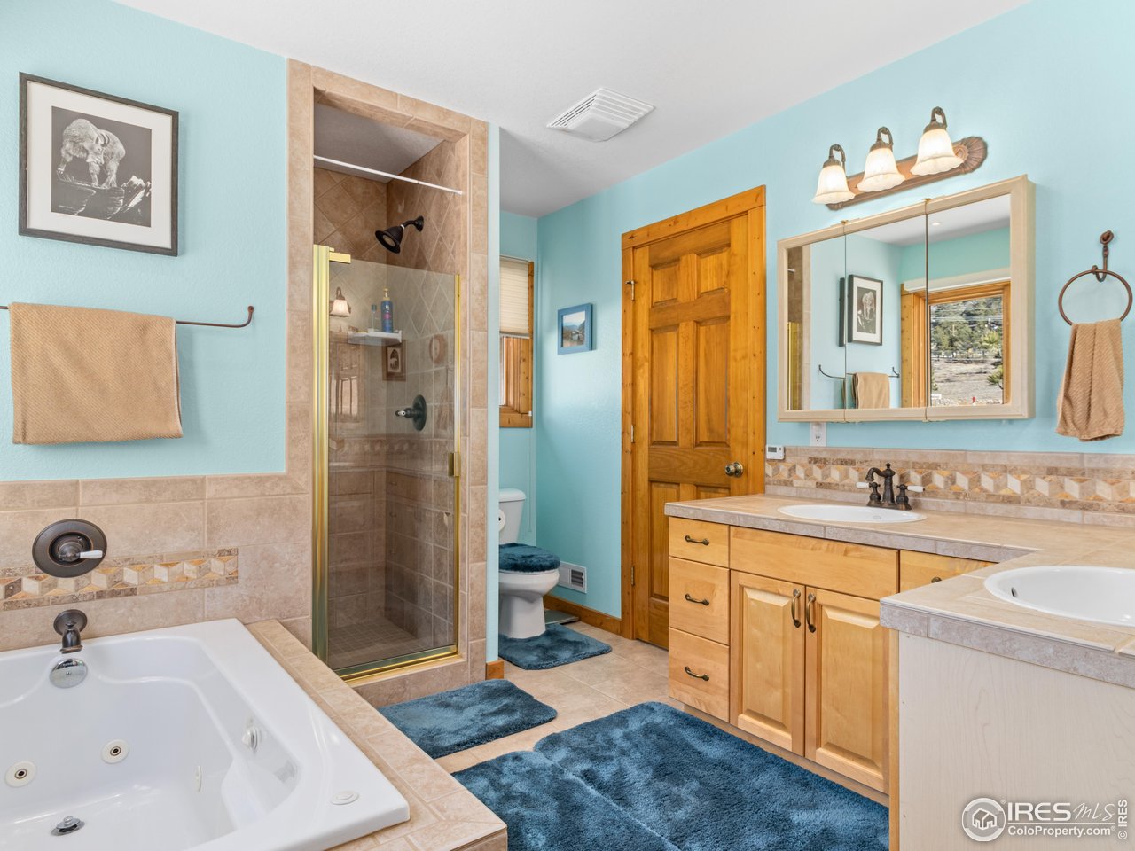 1850 Ranch Circle Estes Park, CO 80517 - Photo 24 of 46 5 piece primary bathroom