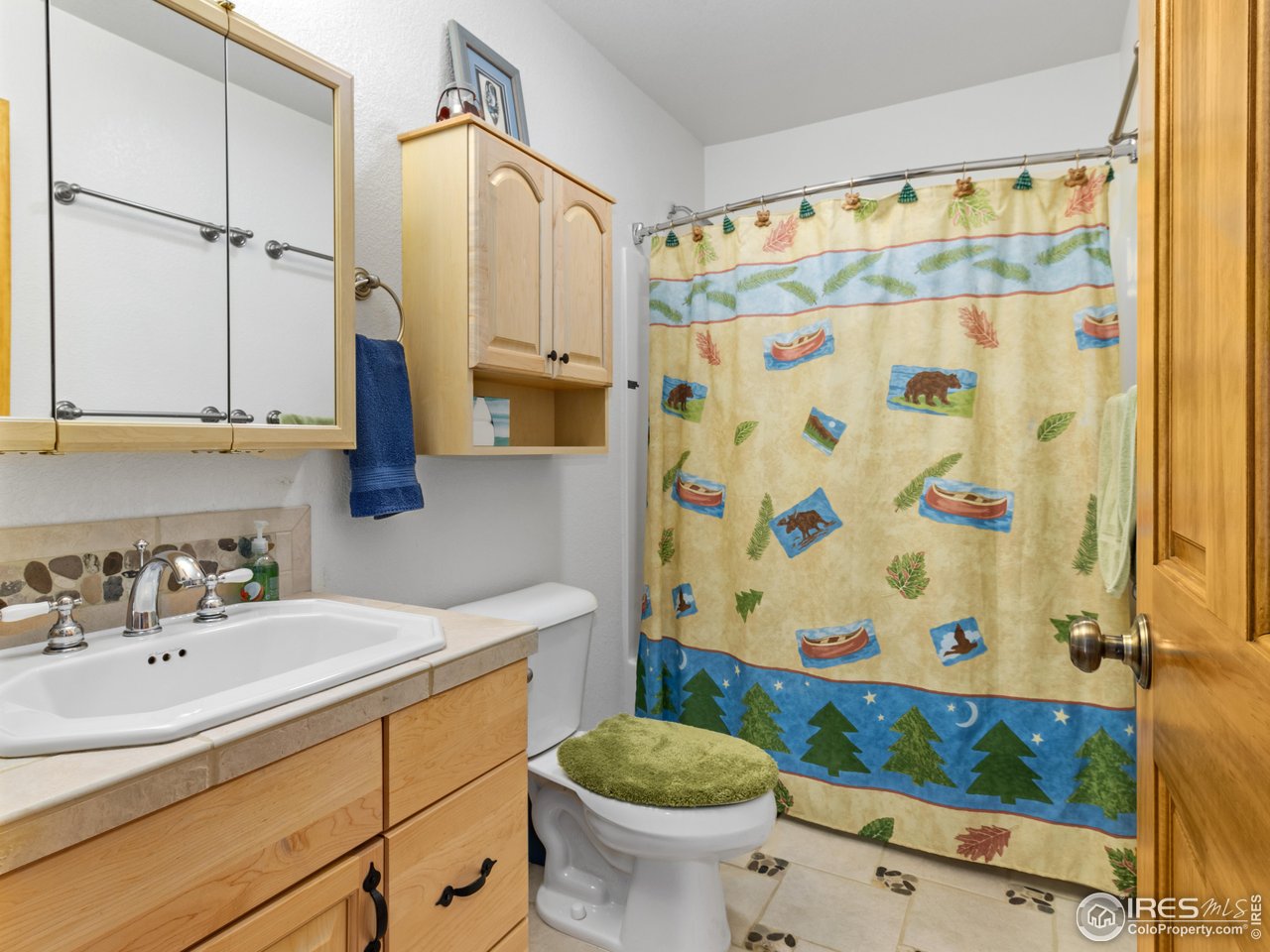 1850 Ranch Circle Estes Park, CO 80517 - Photo 35 of 46 Lower level full bath