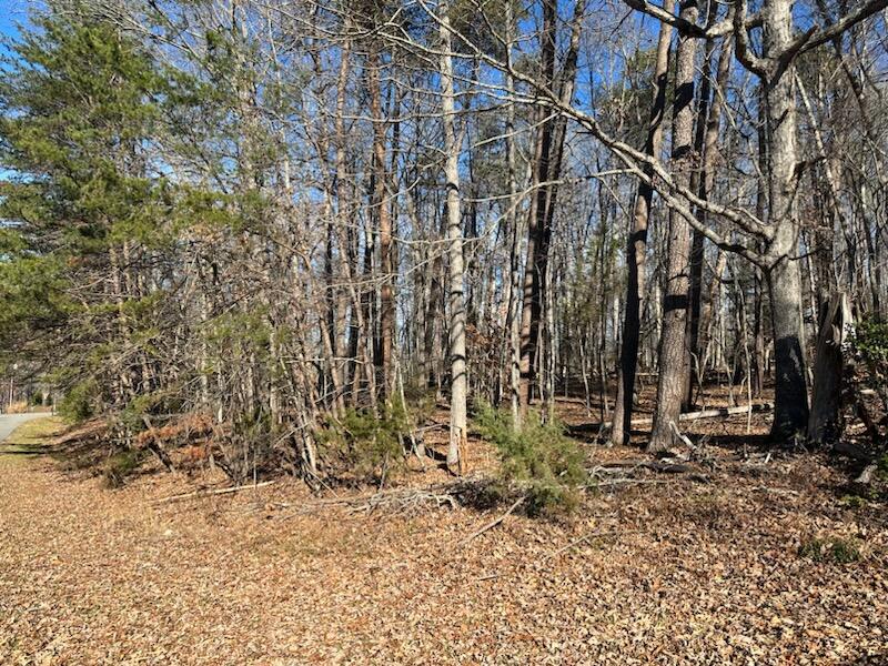 Lot 39 Buccaneer Road Moneta, VA 24121 - Photo 2 of 4 IMG_6829 39