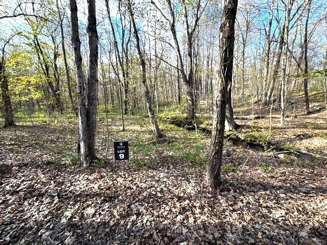 Lot 9 Gould Road Charlton, MA 01507 - Photo 2 of 5