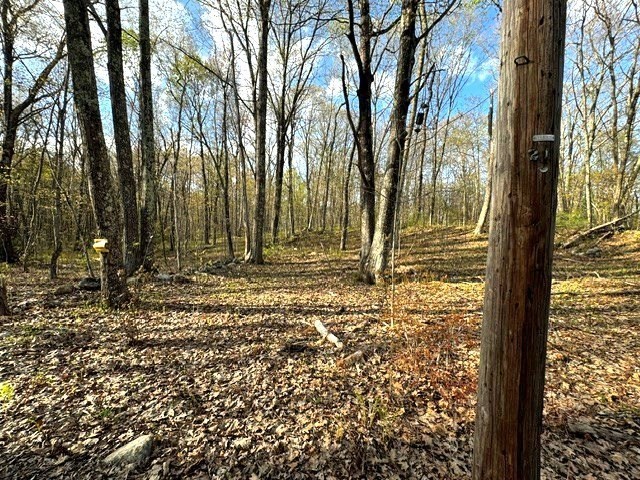 Lot 9 Gould Road Charlton, MA 01507 - Photo 3 of 5