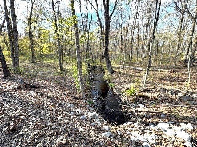 Lot 9 Gould Road Charlton, MA 01507 - Photo 4 of 5