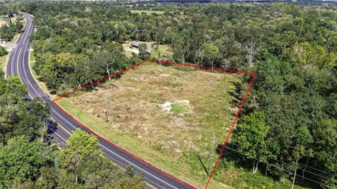 a view of a backyard with plants