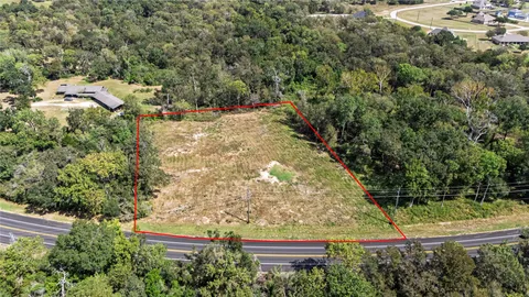 a view of a yard with plants and large trees