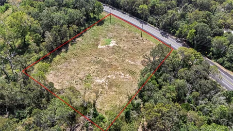 a view of a bunch of plants and large trees