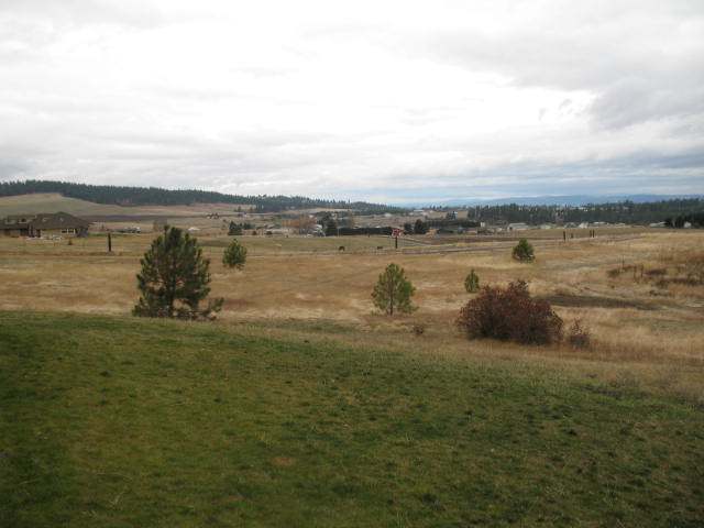 6105 South Saddle Ridge Road Greenacres, WA 99016 - Photo 9 of 9