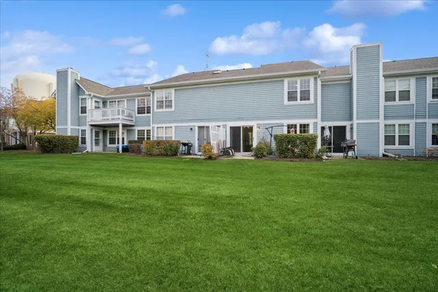a view of a park with large trees