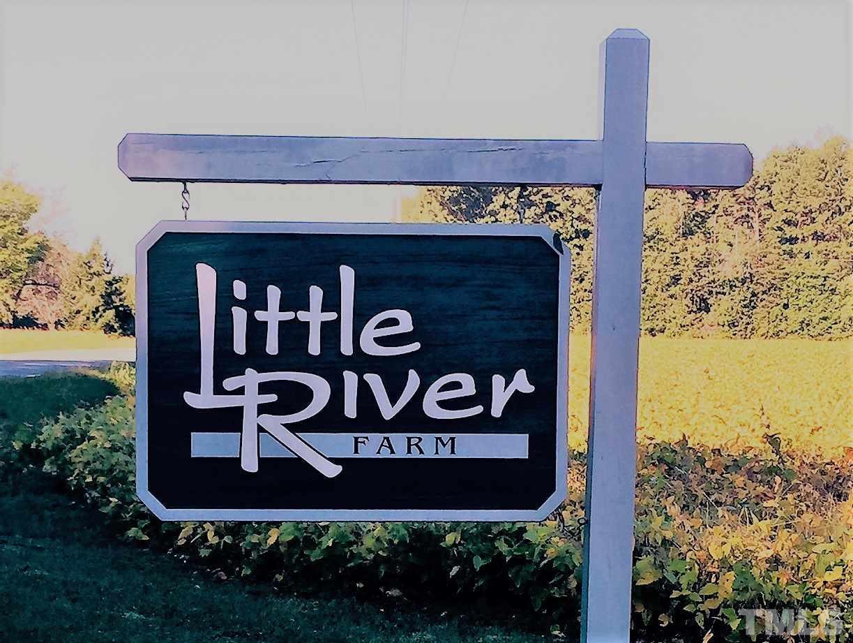 2730 Little River Church Road Hurdle Mills, NC 27541 - Photo 25 of 25 a front view of a house