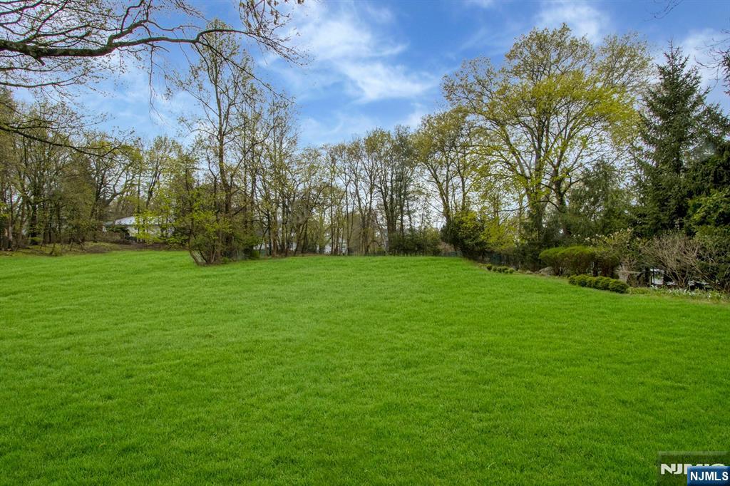 278 Fountain Road Englewood, NJ 07631 - Photo 37 of 37 a view of a field of grass and trees