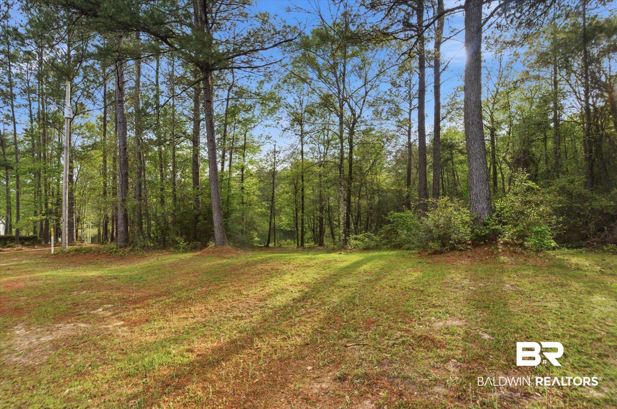 9770 Lakeview Road Bay Minette, AL 36507 - Photo 42 of 44 Nearby Area