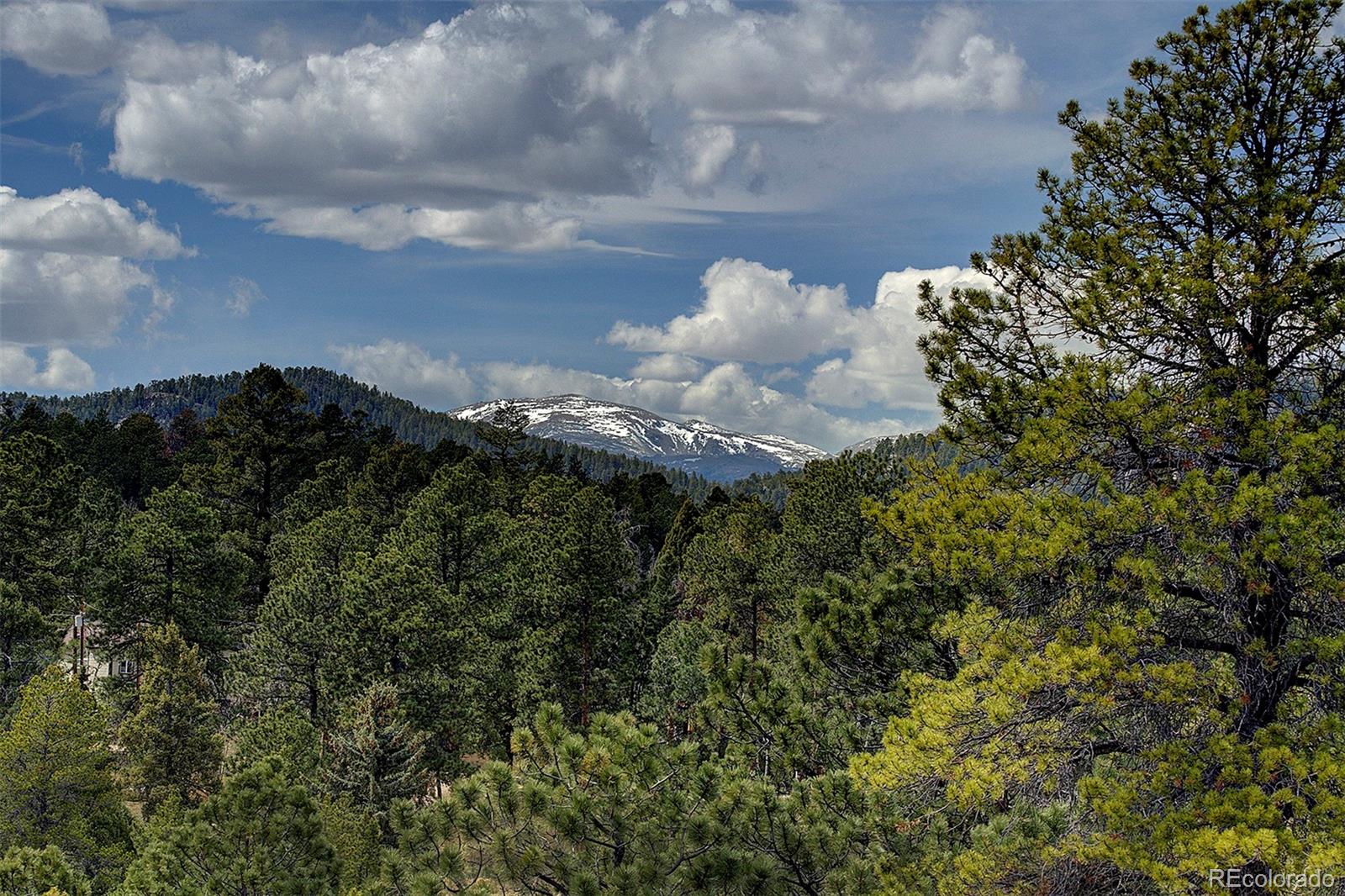 27987 Richmond Hill Road Conifer, CO 80433 - Photo 3 of 46