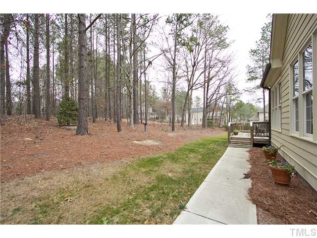View of wooded back drop.