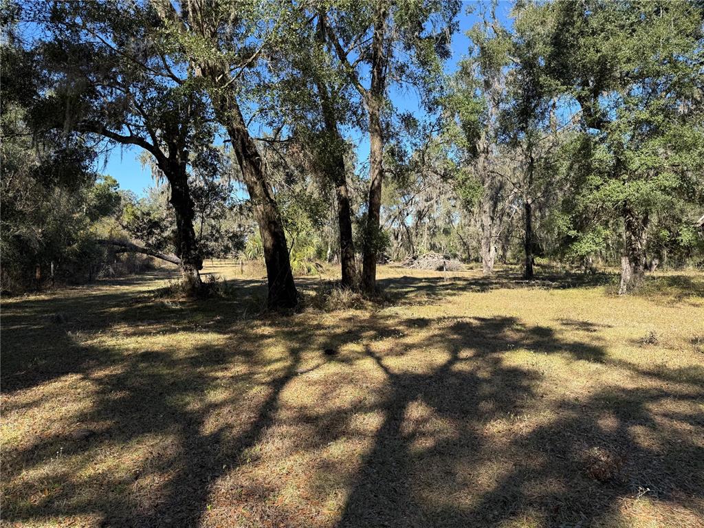 18630 Bradshaw Road Dade City, FL 33523 - Photo 18 of 43 a view of outdoor space with trees