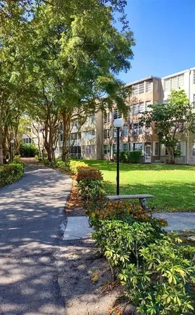 a view of a park with large trees