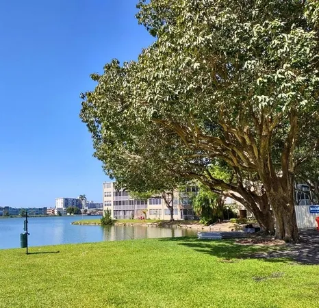 a view of a large yard with plants and large trees