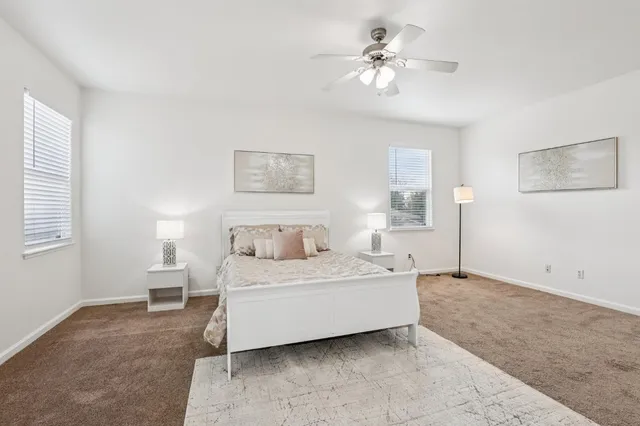 a living room with a bed furniture and a window