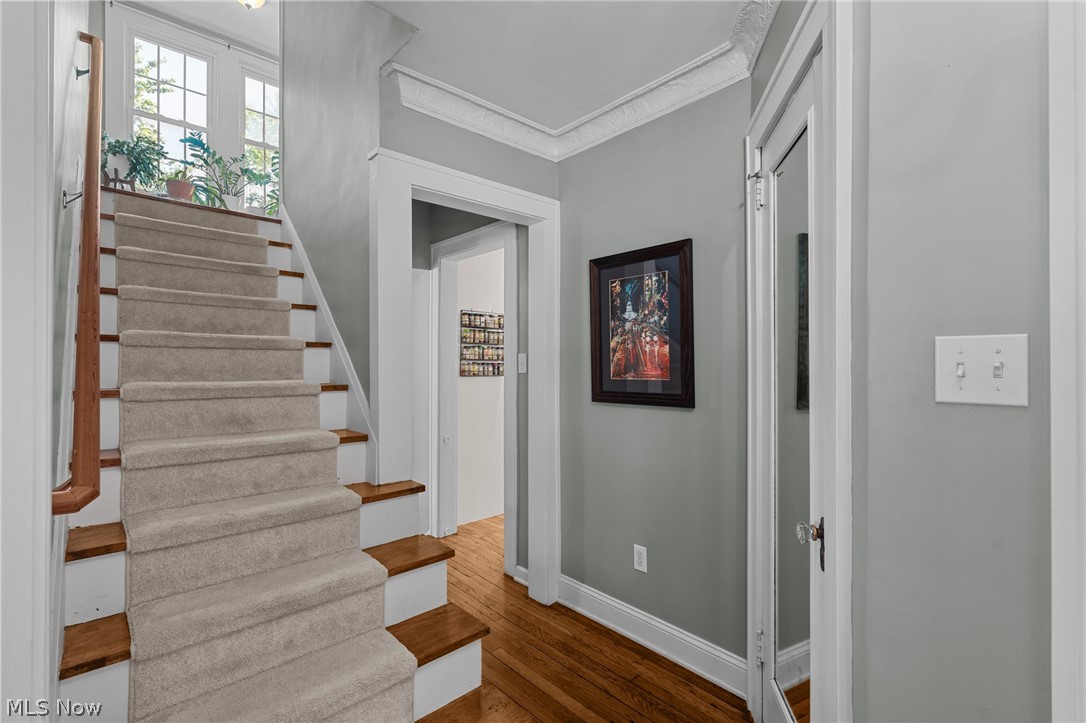 3882 Bushnell Road University Heights, OH 44118 - Photo 19 of 31 Gallery Image 19