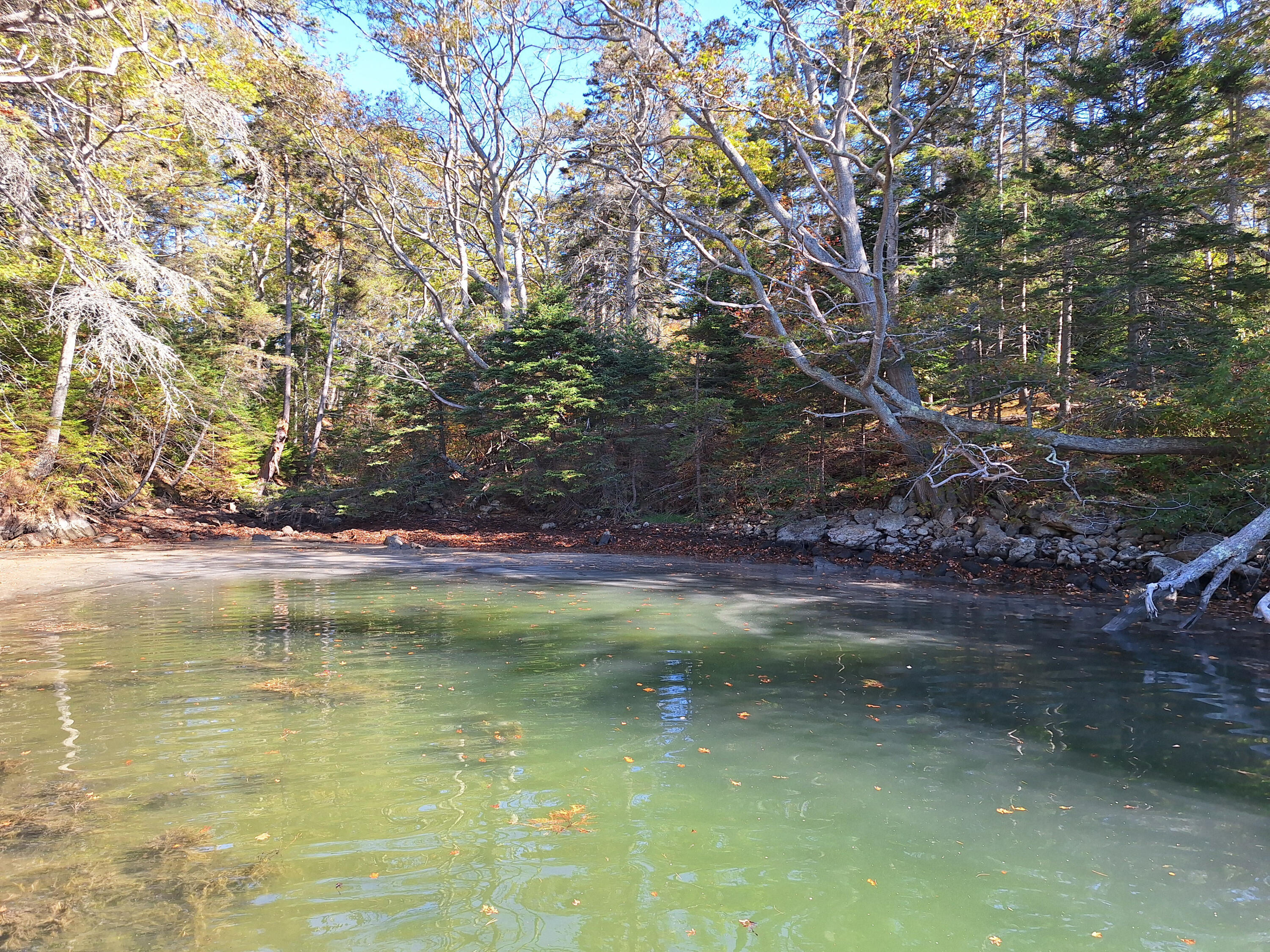 Lot 149 Bristol Road Damariscotta, ME 04543 - Photo 6 of 14
