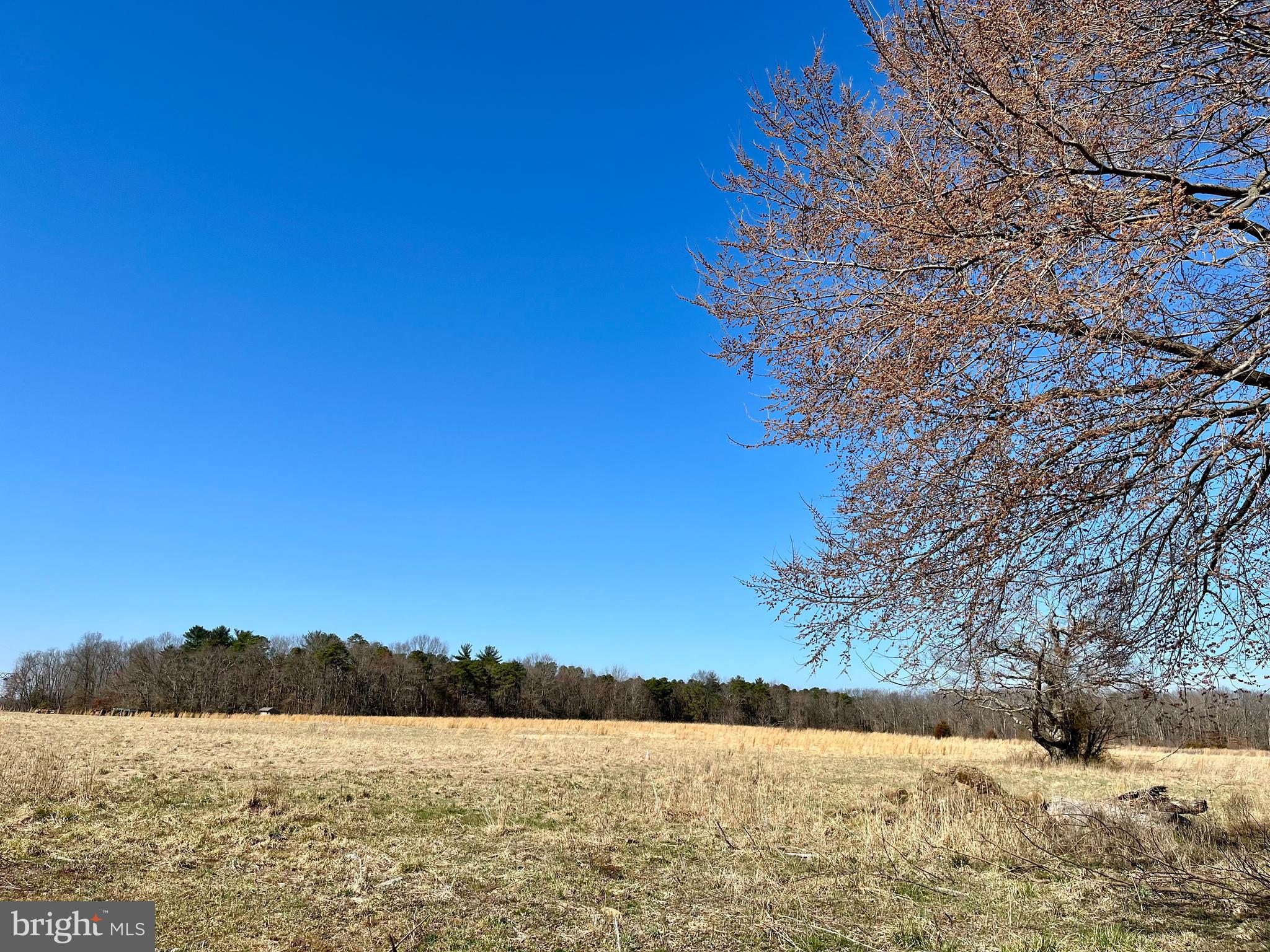 Swedesboro Road Monroeville, NJ 08343 - Photo 1 of 4 Beautiful building lot