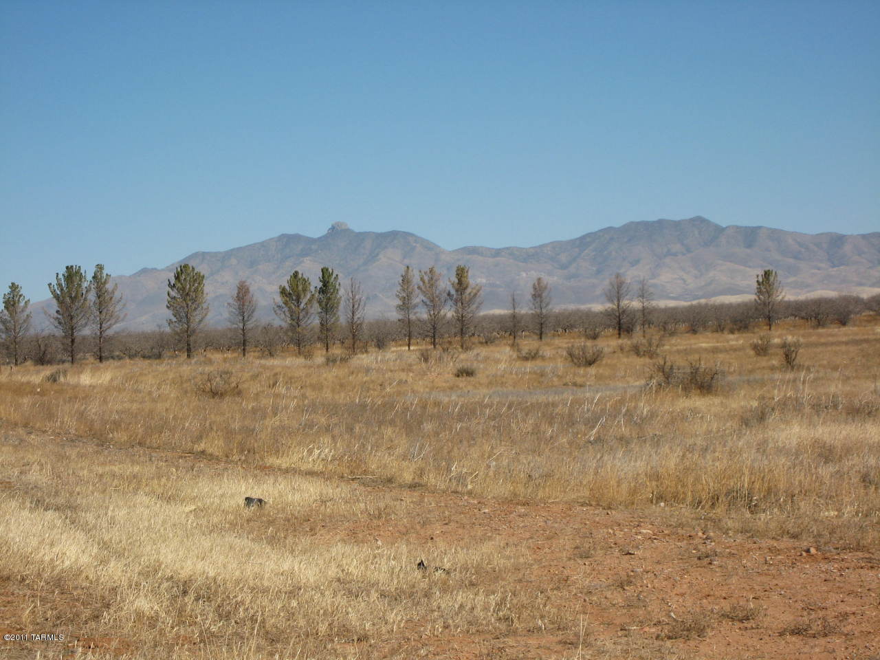 Sulphur Springs Road Willcox, AZ 85643 - Photo 3 of 3
