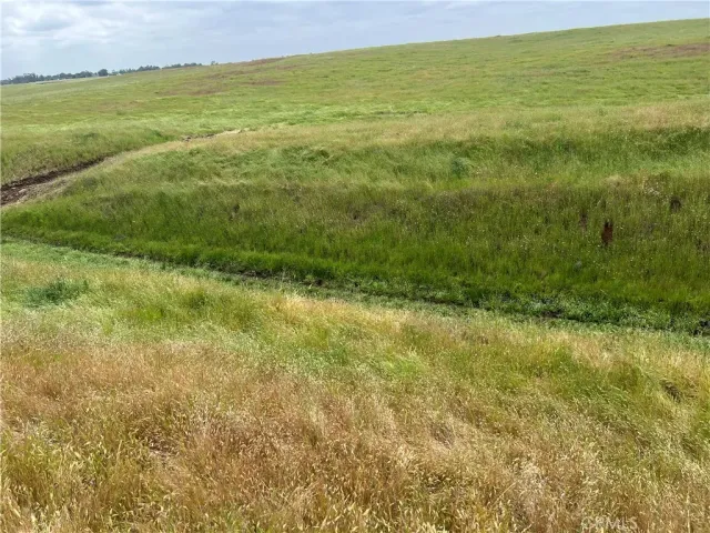 a view of an ocean from a yard