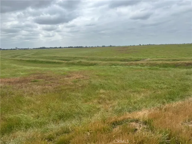 a view of an ocean from a yard