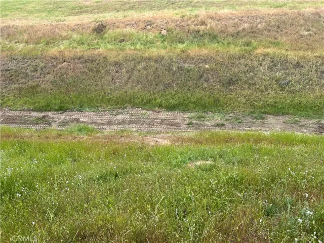 a view of an ocean and beach